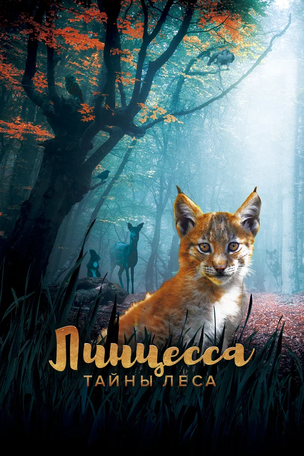 Постер: Линцесса. Тайны леса