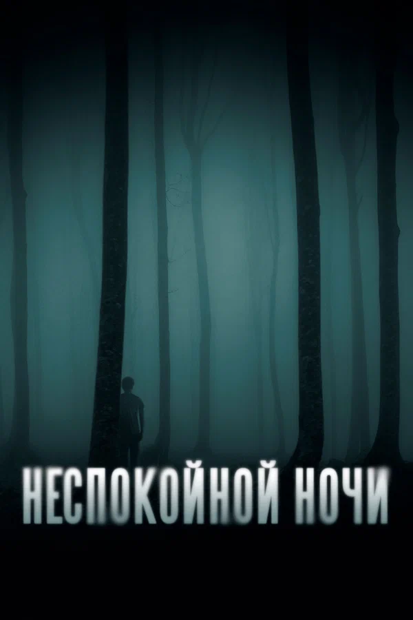 Постер: Неспокойной ночи