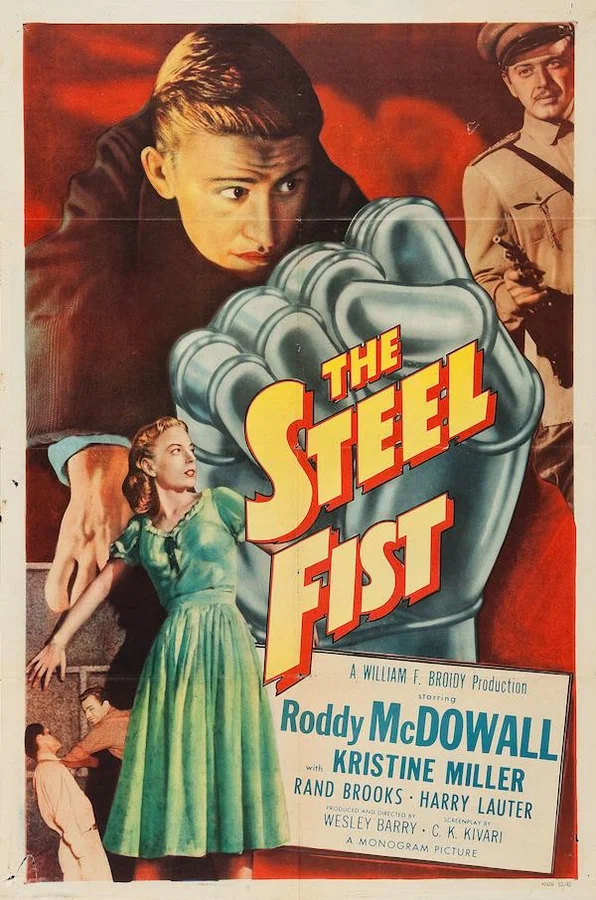 Постер: The Steel Fist