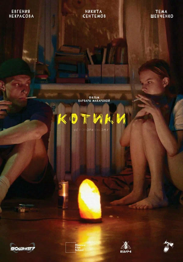 Постер: Котики