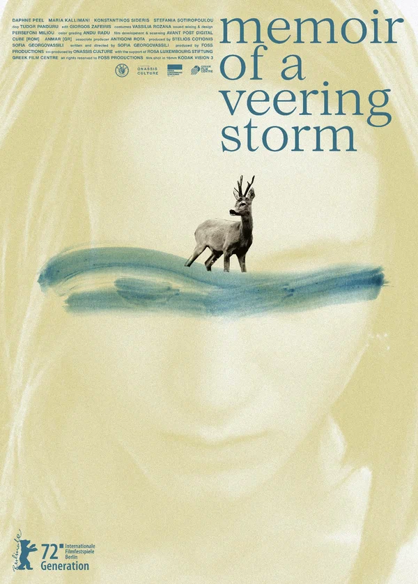 Постер: Memoir of a Veering Storm