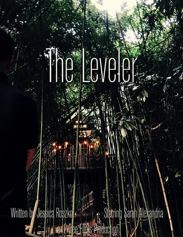 Постер: The Leveler