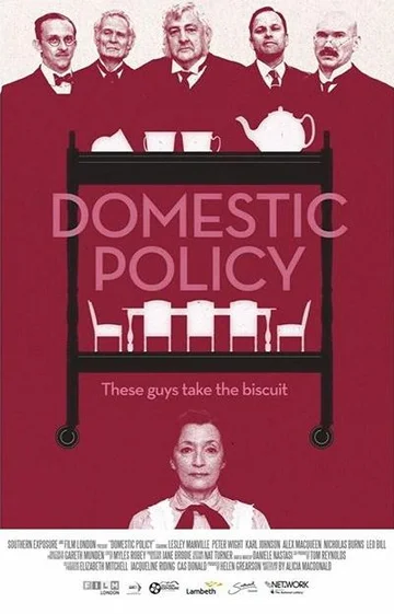 Постер: Domestic Policy