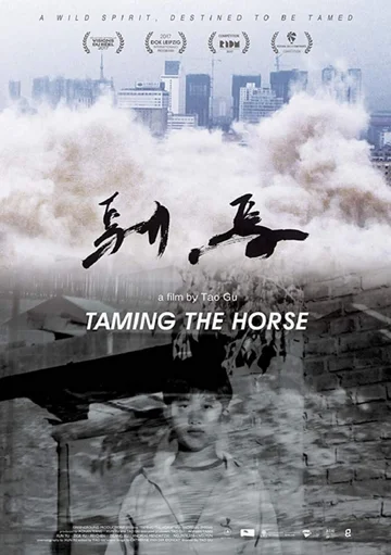 Постер: Taming the Horse
