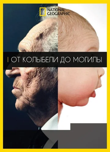 Постер: От колыбели до могилы