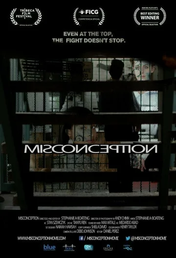 Постер: Misconception