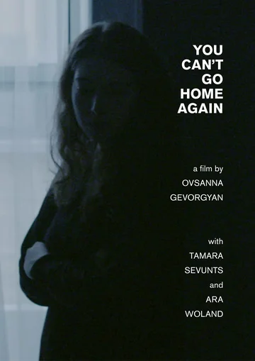 Постер: You Can't Go Home Again