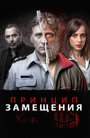 Постер: Принцип замещения