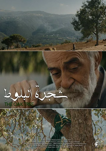 Постер: The Oak Tree