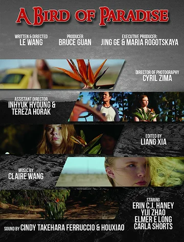 Постер: A Bird of Paradise