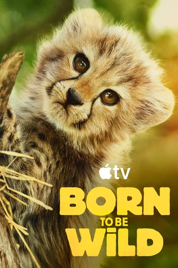 Постер: Born to be Wild