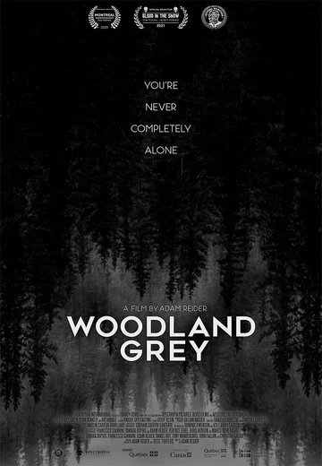 Постер: Woodland Grey