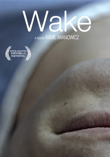 Постер: Wake