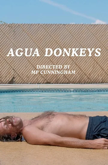 Постер: Agua Donkeys