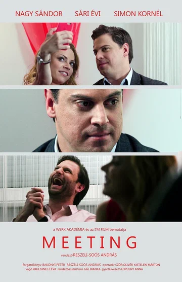 Постер: Meeting