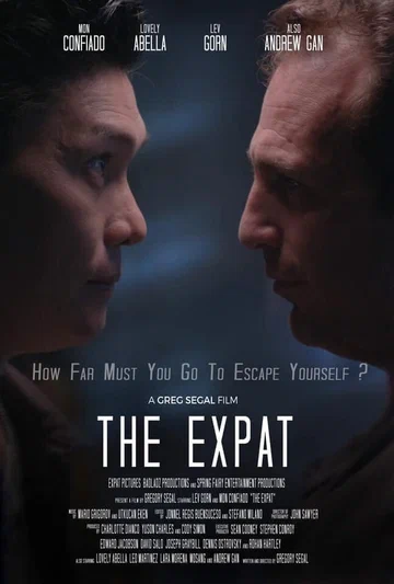 Постер: The Expat