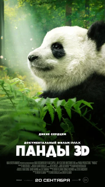 Постер: Панды 3D