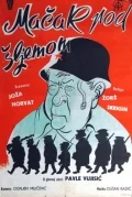 Постер: Кот под шлемом