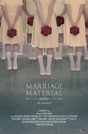 Постер: Marriage Material