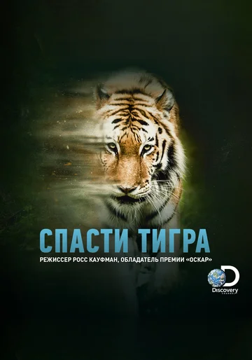 Постер: Спасти тигра