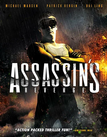 Постер: Assassins Revenge