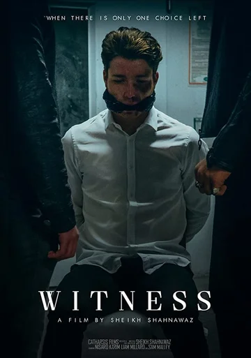 Постер: Witness