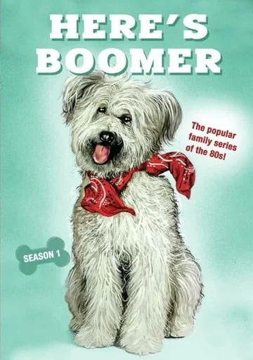 Постер: Here's Boomer