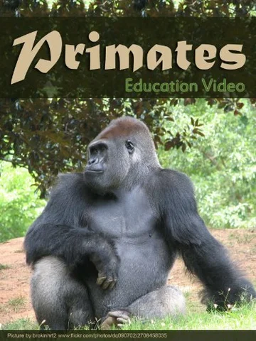 Постер: Primats