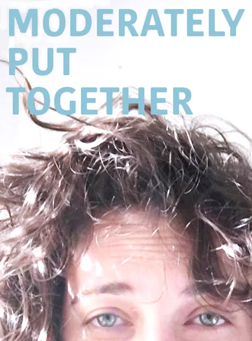 Постер: Moderately Put Together