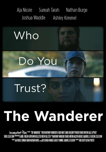 Постер: The Wanderer