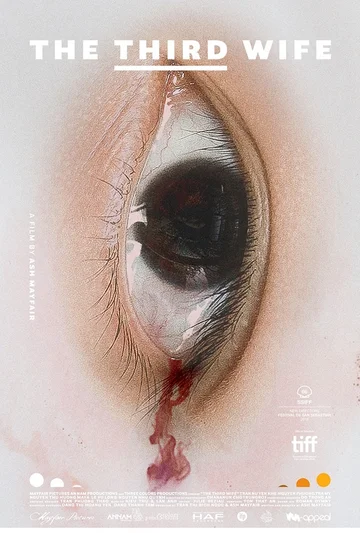 Постер: Третья жена