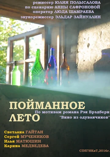 Постер: Пойманное лето