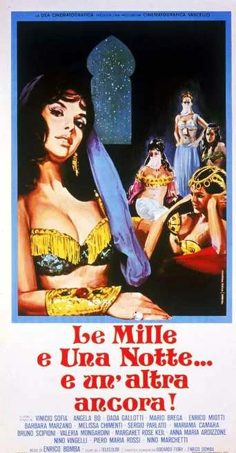Постер: Le mille e una notte... e un'altra ancora!