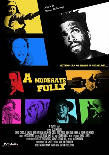 Постер: A Moderate Folly