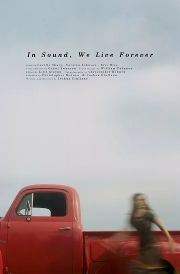 Постер: In Sound, We Live Forever