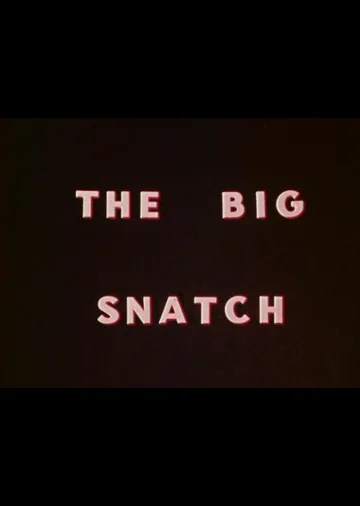 Постер: The Big Snatch
