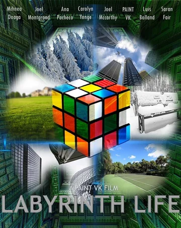 Постер: Labyrinth Life