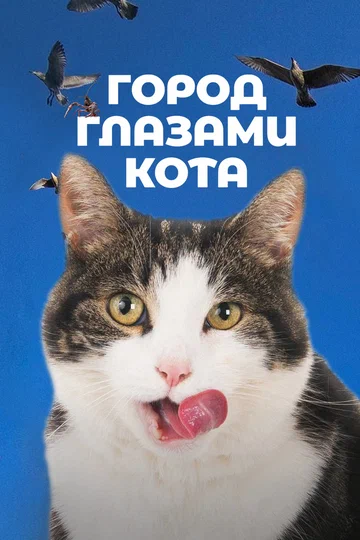 Постер: Город глазами кота