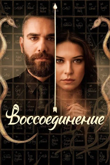 Постер: Воссоединение