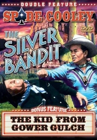 Постер: The Silver Bandit