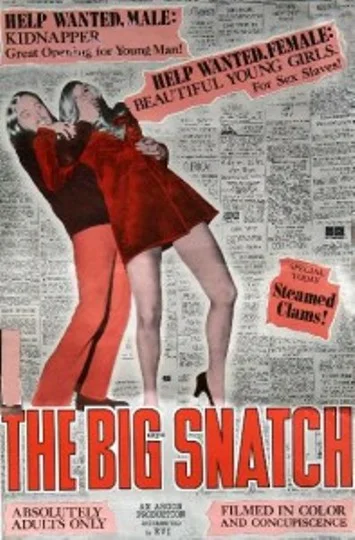 Постер: The Big Snatch