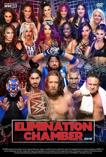 Постер: WWE Камера ликвидации