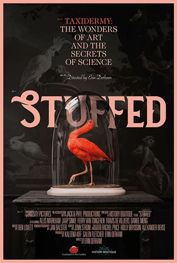 Постер: Stuffed