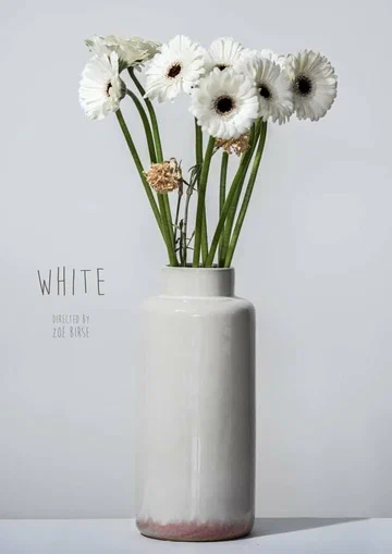 Постер: White
