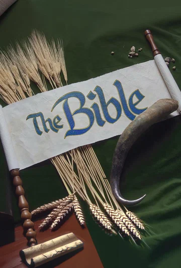 Постер: The Bible