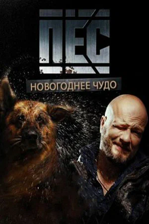 Постер: Пёс. Новогоднее чудо
