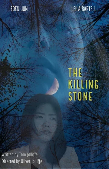 Постер: The Killing Stone