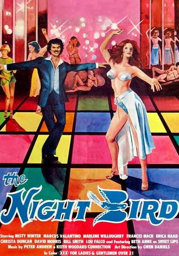 Постер: The Night Bird