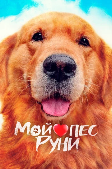 Постер: Мой пёс Руни