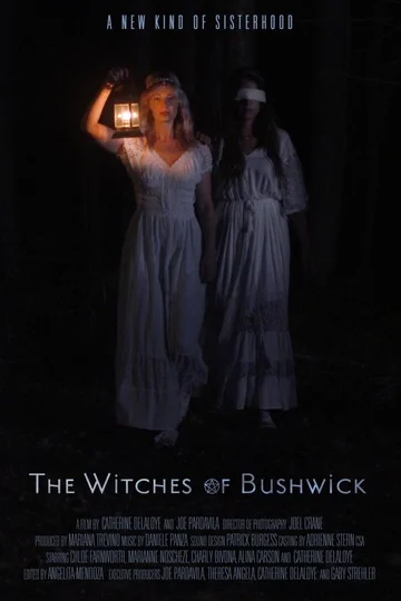 Постер: The Witches of Bushwick
